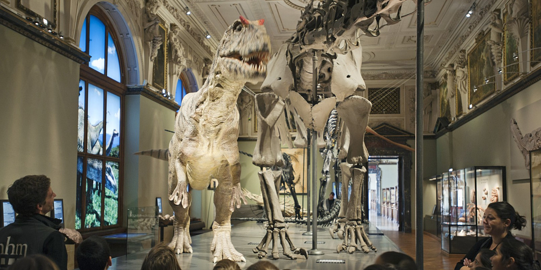 Saurier-salen på Naturhistoriska museet i Wien