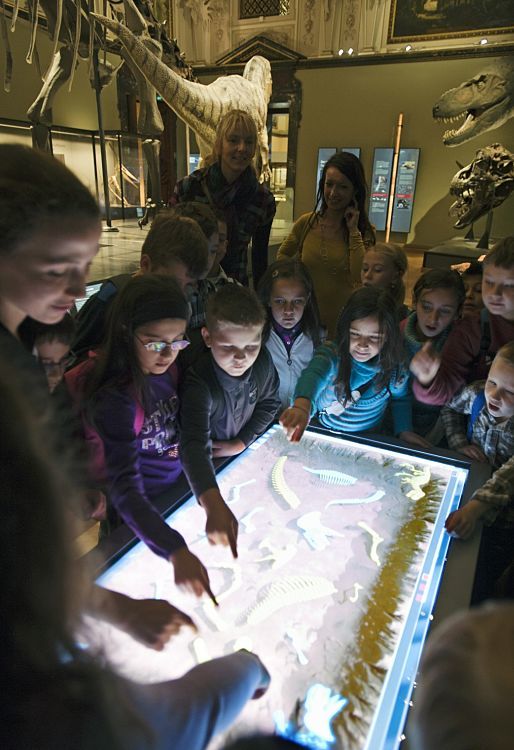 Sala dei dinosauri nel Museo di Storia Naturale di Vienna