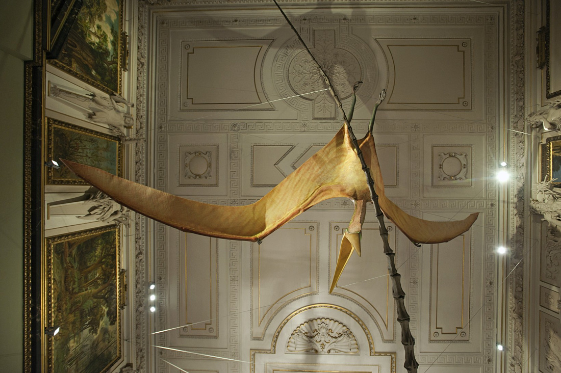 Sauriersaal im Naturhistorischen Museum Wien