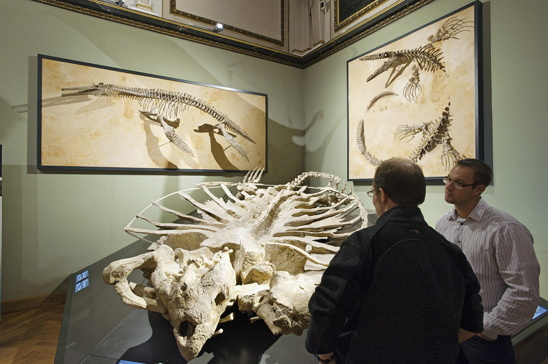 Sala de saurios en el Museo de Historia Natural de Viena