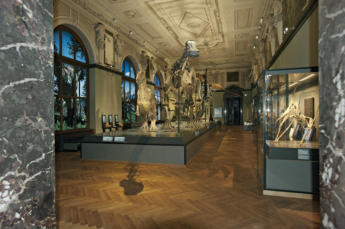 Sala dei dinosauri nel Museo di Storia Naturale di Vienna