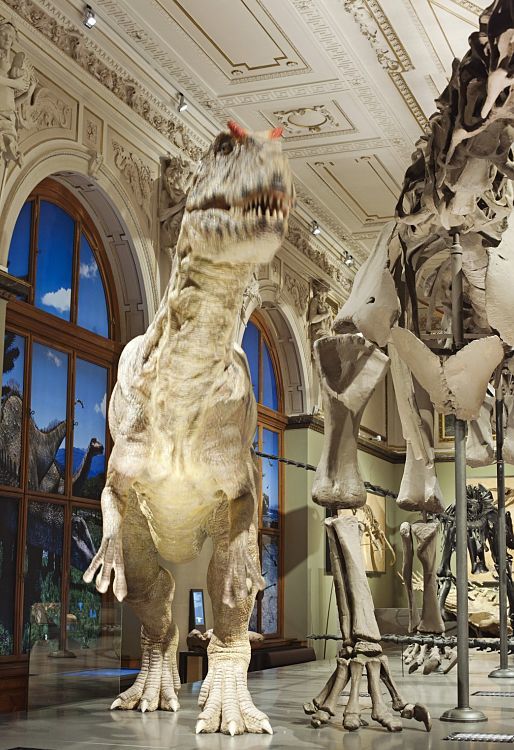 Dinosaur Hall at the Museum of Natural History Vienna