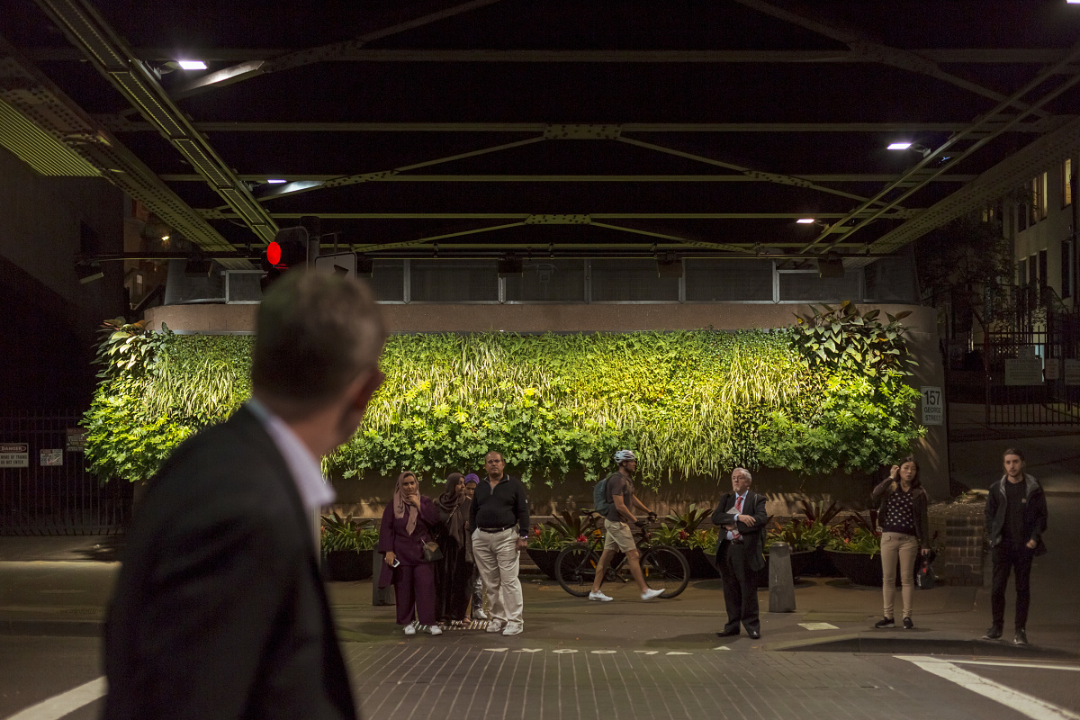 Illuminazione di un giardino verticale 