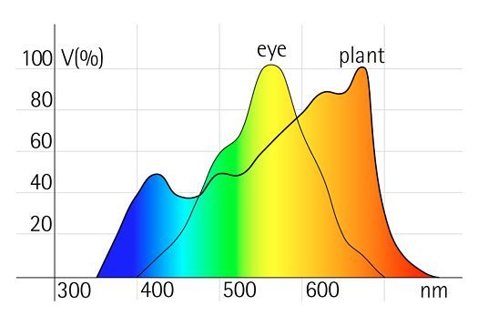 Illuminazione di un giardino verticale 