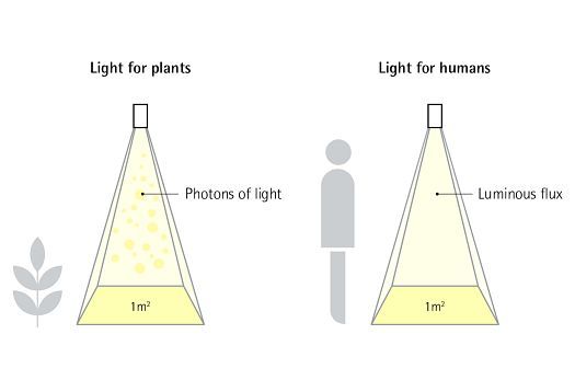 Iluminación de jardines verticales 