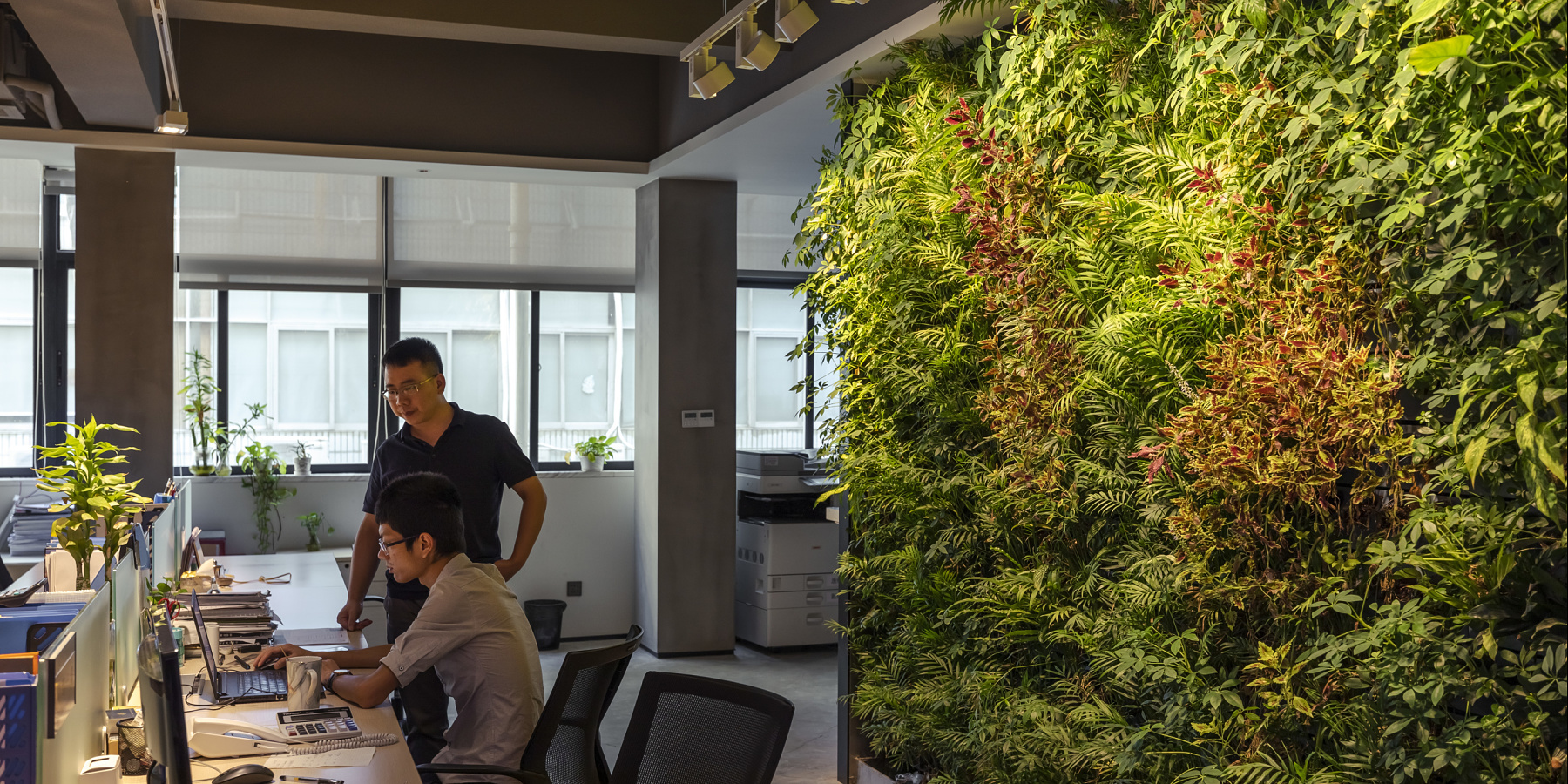 Green wall lighting - Service | ERCO