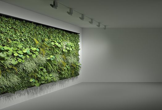 Green wall lighting