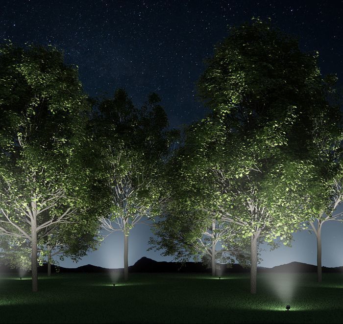 Illuminazione perfetta per alberi 