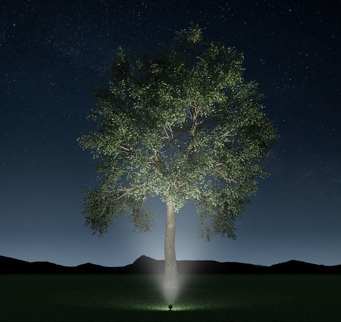 Tree outlet illumination lights