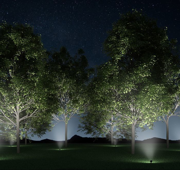 Tree lighting correctly illuminating trees ERCO