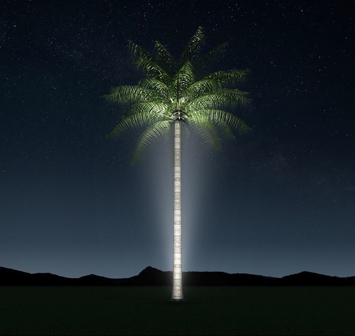 Palm tree spotlight deals
