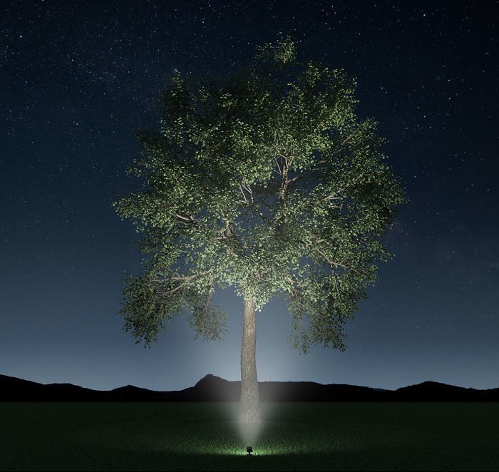 Illuminazione perfetta per alberi 