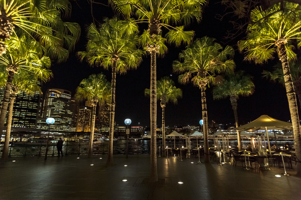 Un Poteau De Jardin Illumine Les Lumières Décoratives Dans Un Parc De La  Ville Avec Un Haut Fond D'arbre Dans L'après-midi. Image stock - Image du  lampe, jardin: 271117425