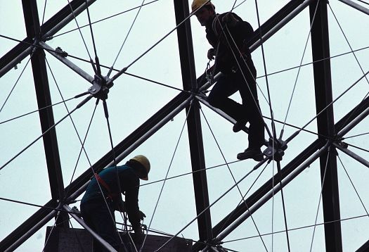 La luce e la vita nellambiente