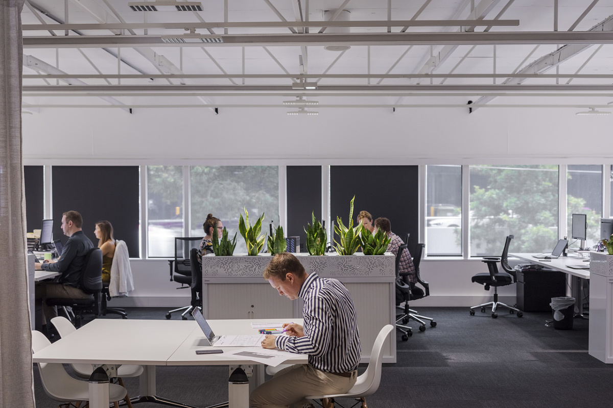 Lumière pour bureaux flexibles