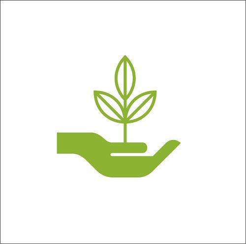 Green hand holding plant, symbolizing sustainable gallery lighting.