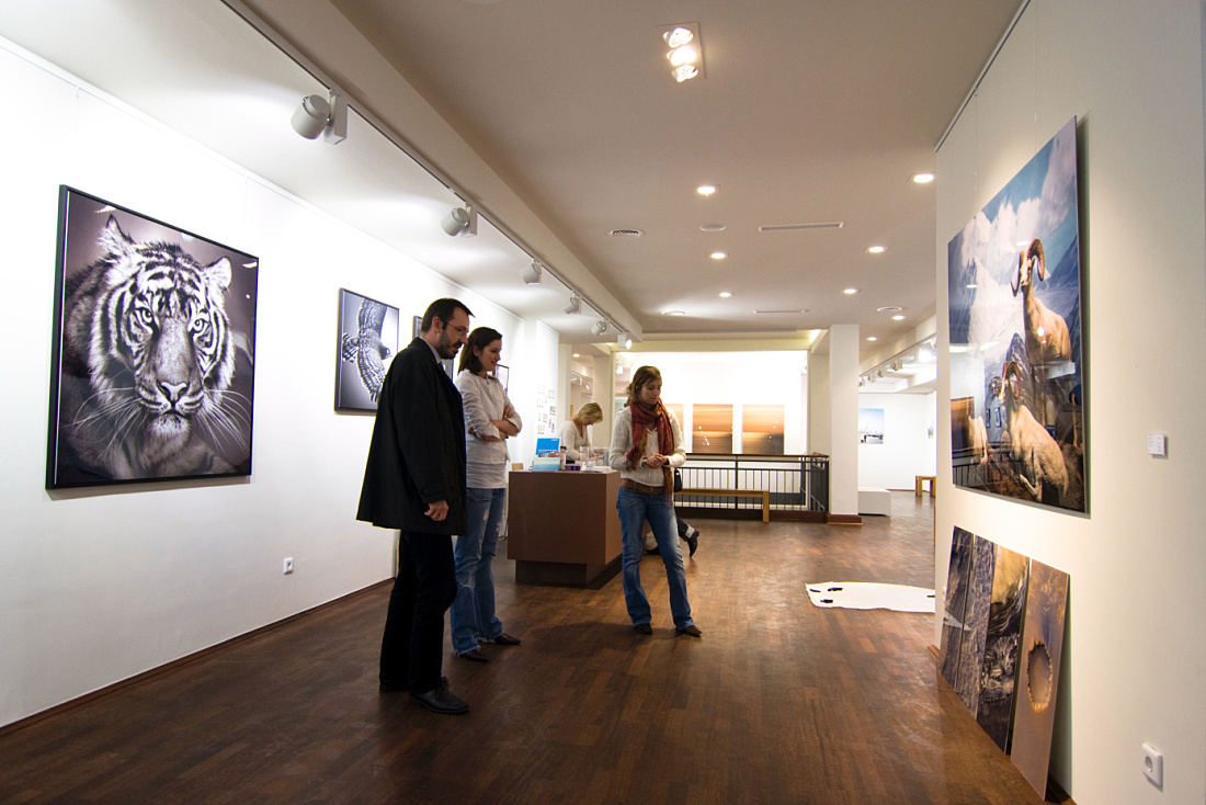 Galerie Lumas