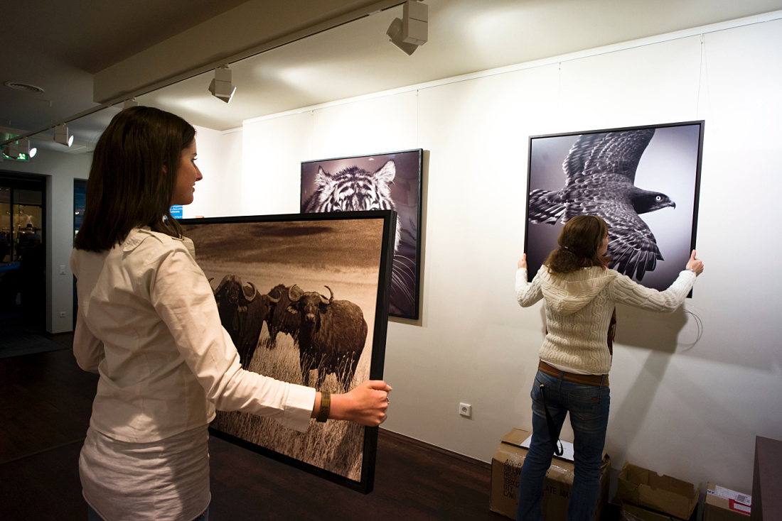 Galerie Lumas