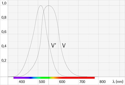 Flujo luminoso: representación gráfica de la sensibilidad espectral del ojo humano para la visión diurna y la nocturna