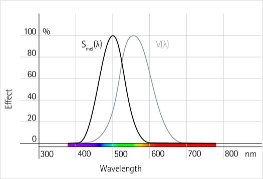 Comparison of curves for ganglion cell sensitivity and visual perception