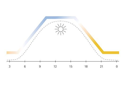 Graphic Circadian rhythm
