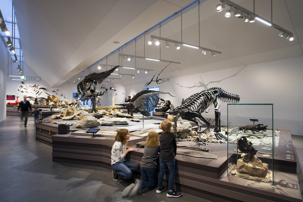 Natuurmuseum, St. Gallen