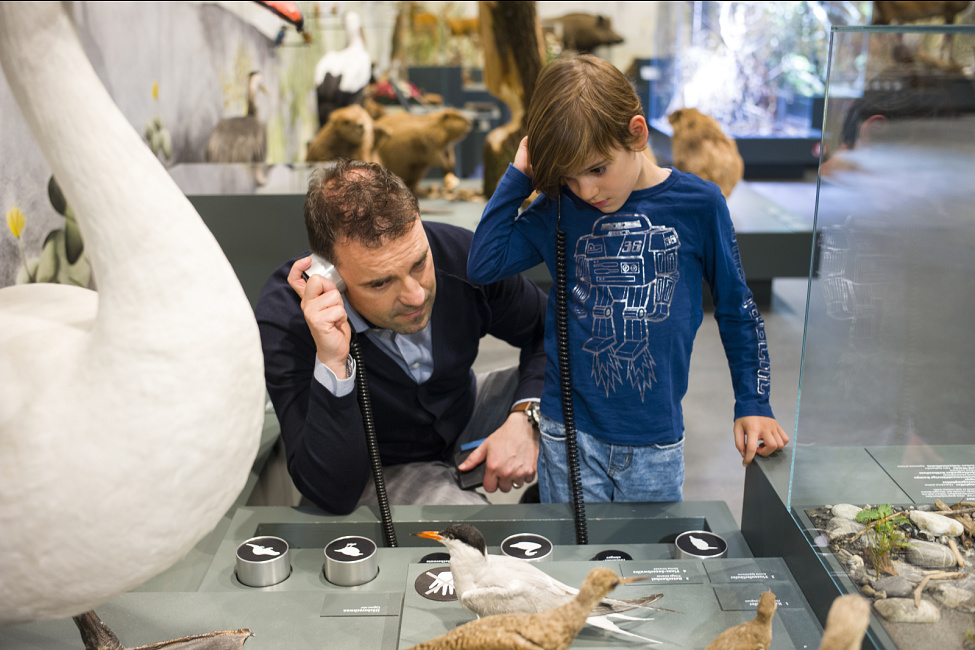 Natuurmuseum, St. Gallen