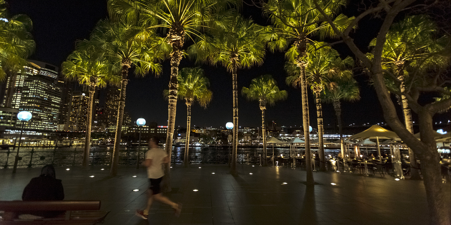 Palm Trees, Circular Quay, Sydney, Sydney, Australië