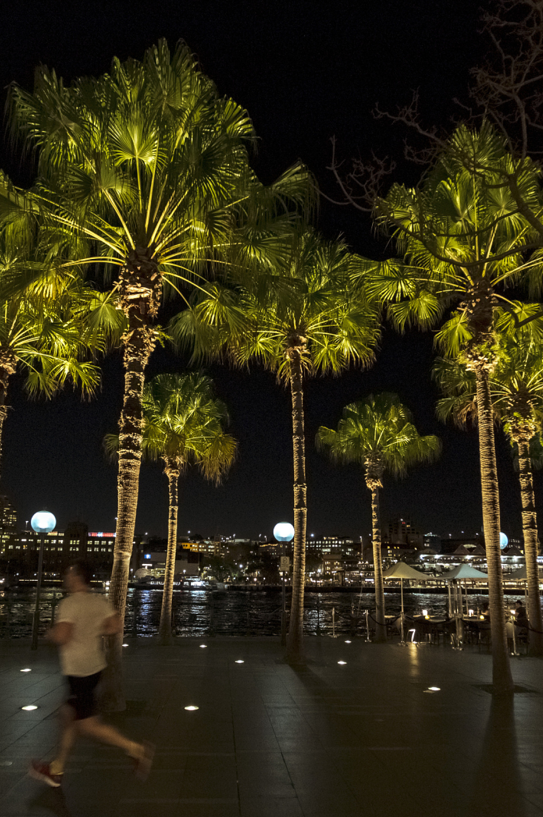 Palm light discount