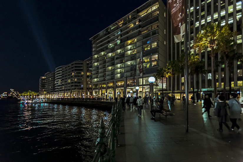 Palm Trees, Circular Quay, Sydney