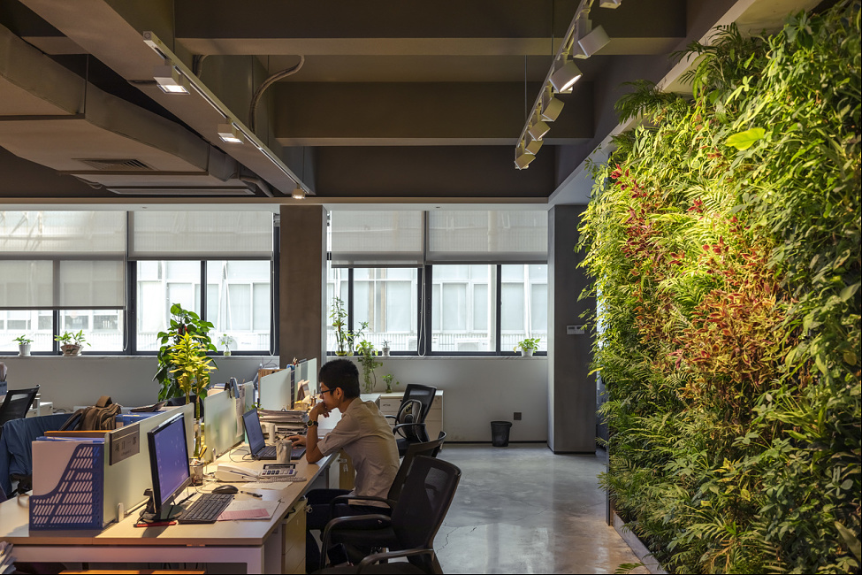 Qiguang Technology Co. Office