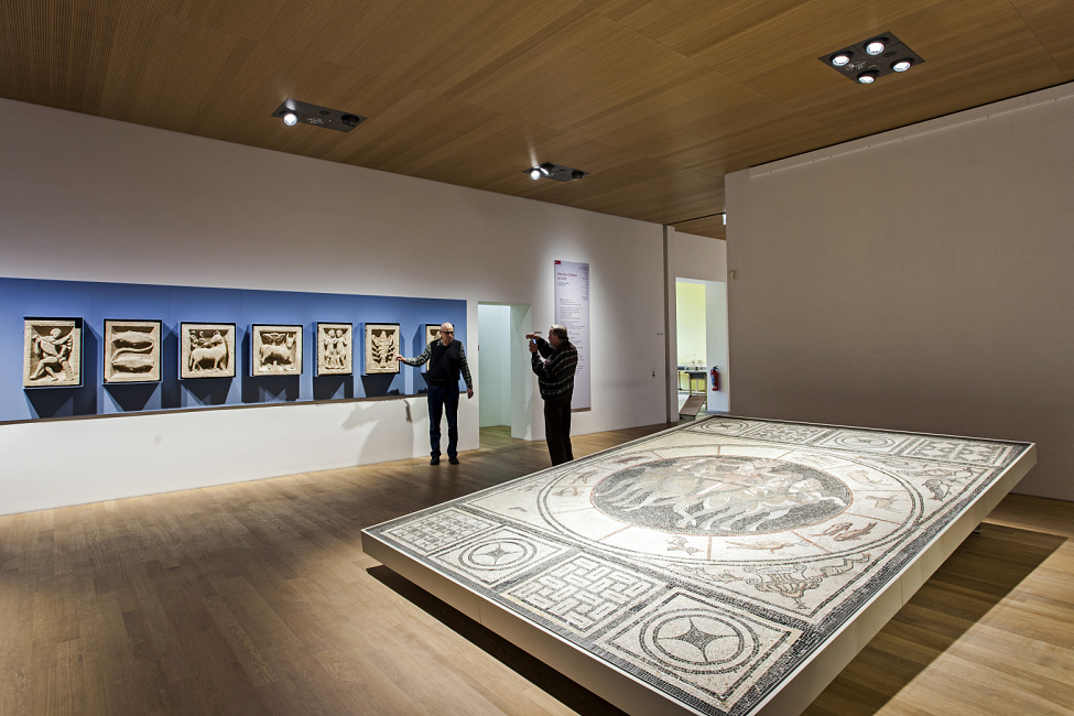 Rheinisches Landesmuseum, Bonn