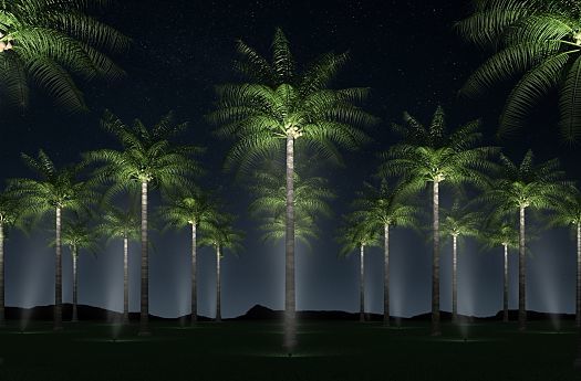 Guide Outdoor Lighting Erco, Best Solar Spotlights For Palm Trees