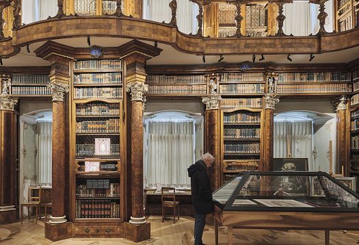 Detailed view of a historic library hall with ornate wooden shelving and a person viewing a showcase.