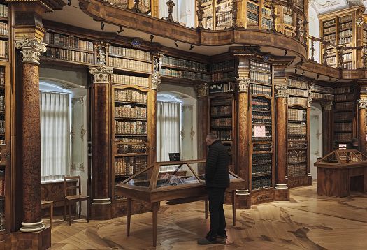 Historic library hall with an ornately painted ceiling, tall wooden bookshelves, a large globe, and a person taking a photograph.