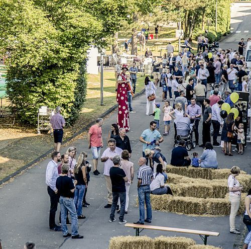 Studentenstages en afstudeeropdrachten