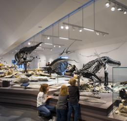 Natural History Museum, St. Gallen